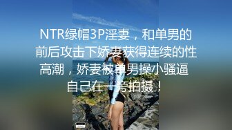 NTR绿帽3P淫妻，和单男的前后攻击下娇妻获得连续的性高潮，娇妻被单男操小骚逼 自己在一旁拍摄！