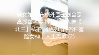 美女如云 车模外围三线全是高质量名媛 推特金主大神【北王】私拍，操控玩肏各种露脸女神，人生赢家 (2)