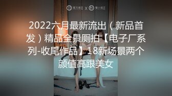 2022六月最新流出（新品首发）精品全景厕拍【电子厂系列-收尾作品】18新场景两个颜值高跟美女